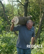 Фото профиля Сергей Кравцов