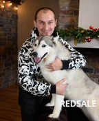 Фото профиля Сергей Ячменев