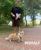 Фото исполнителя - Климовец Кирилл