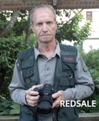 Фото видеографа на свадьбу - Митин Анатолий