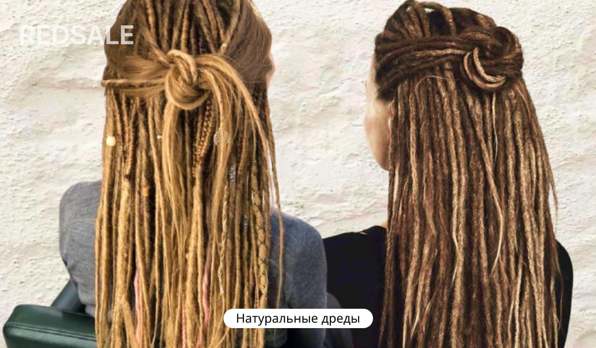 Два человека со спины демонстрируют уложенные в узлы длинные натуральные дреды: слева — светлые с косичками и декором, справа — темно-каштановые, гладко ниспадающие на спину.