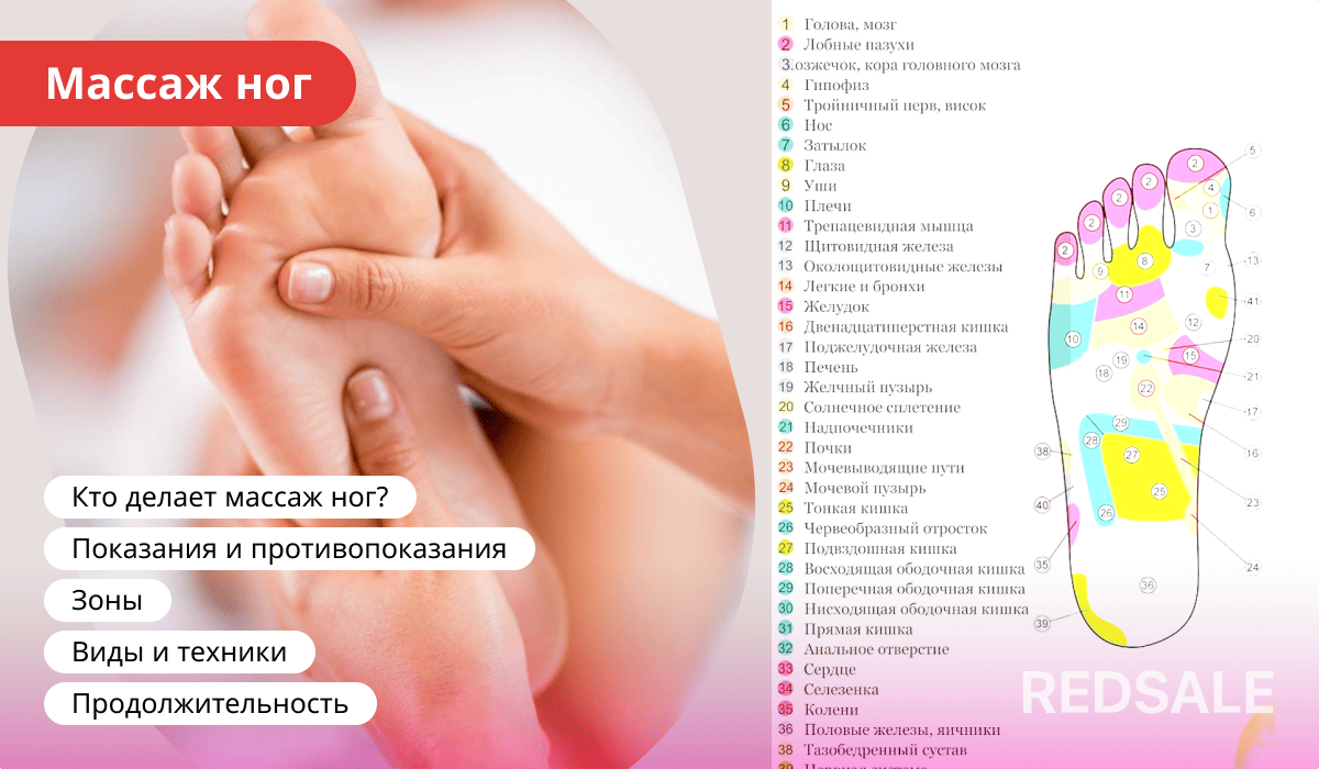 Схема рефлекторных зон стопы: проекция внутренних органов и систем на ступни согласно принципам рефлексотерапии. Подробное расположение точек воздействия при массаже ног.