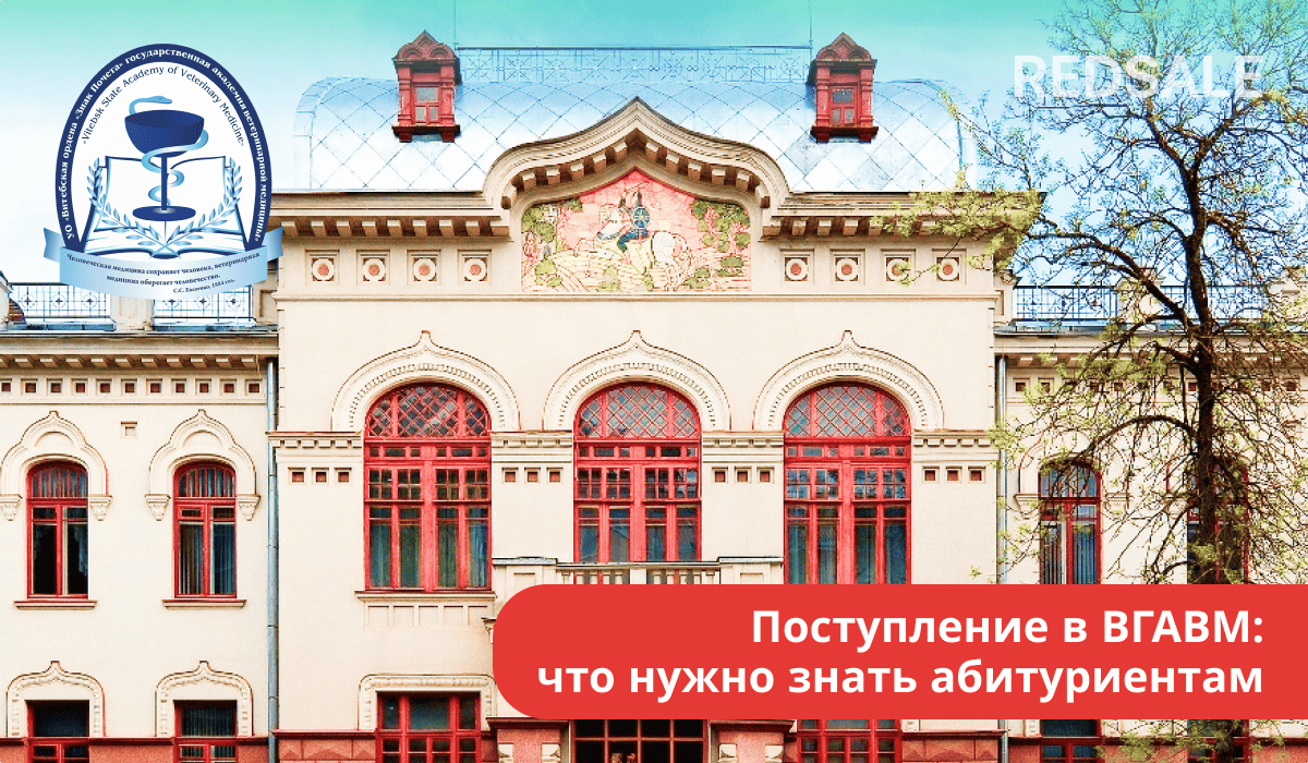 Поступление в ВГАВМ: справочная информация, правила, условия