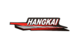 Ремонт лодочных моторов HANGKAI