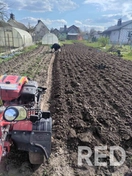 Посадка картофеля под мотоблок по Гомелю и Гомельскому району.