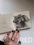 Реалистичный рисунок карандашом в скетчбуке.