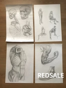 4 Работы, выполненные в карандаше с натуры на формате А3