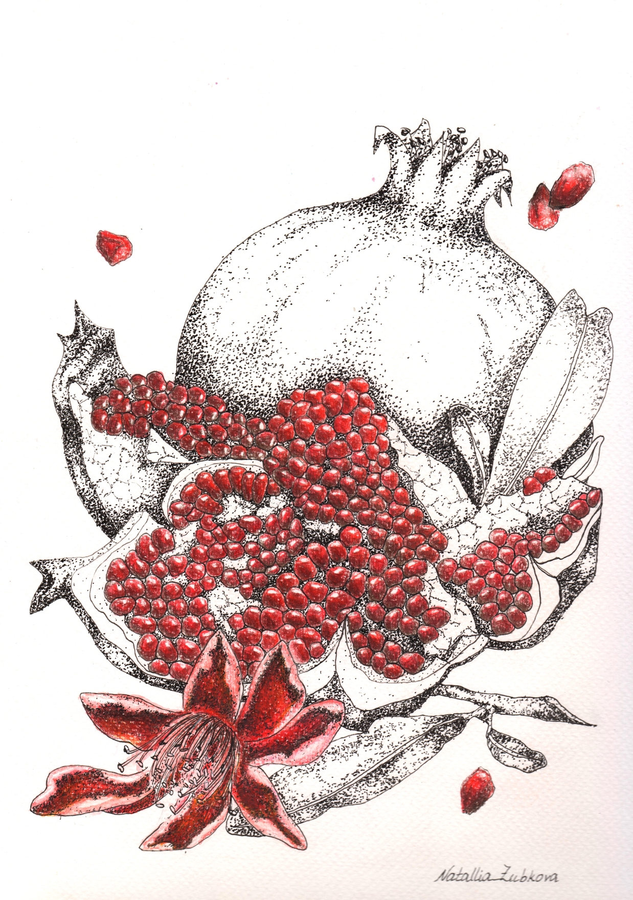 Графика акварелью. Тема цветы, цветочные композиции.