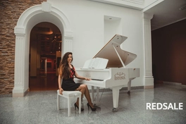 Выступление в Национальном художественном музее.