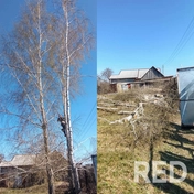 Спилено 3 березы и порезаны по частям, работа была выполнена за два часа.