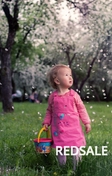 Фотосессия в весеннем цветущем саду, Лошицкий парк