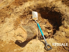 ручная корчевка пней кустов  посадка и пересадка деревьев