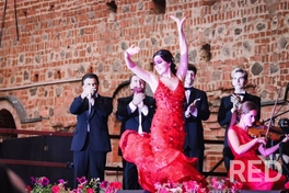 Концерт БГАМ театра в Мирском замке, оперетта.