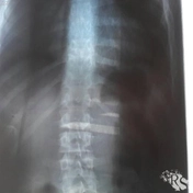 После 8 месяцев работы