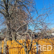 Проведена весенняя обрезка плодовых деревьев с обработкой всех спилов садовой замазкой. Это способствует защите от болезней и стимулирует активный рост новых побегов.