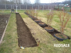 посадка растений деревьев кустов создание грядок выемка дерна 