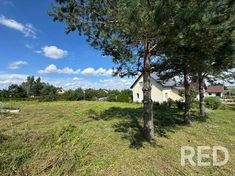 Покос средней сложности, местами виден златарник! Дачный участок 8 сот! Цена в прошлом году составила 80бел.руб.