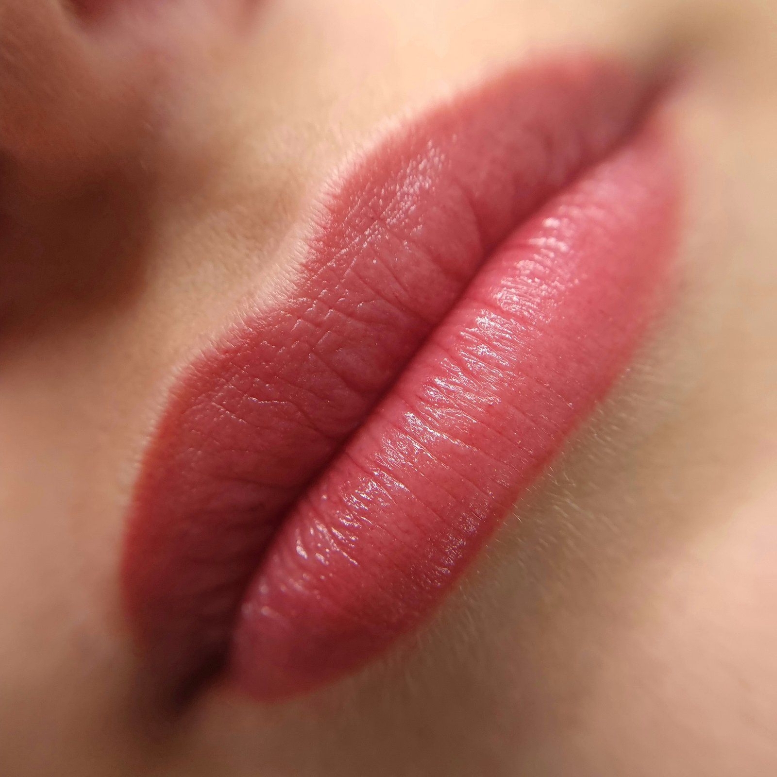 Перманентный макияж губ в легкой растушевке. Что бы при заживлении контур был легким с натуральным эффектом. Задача стояла добавить яркости.