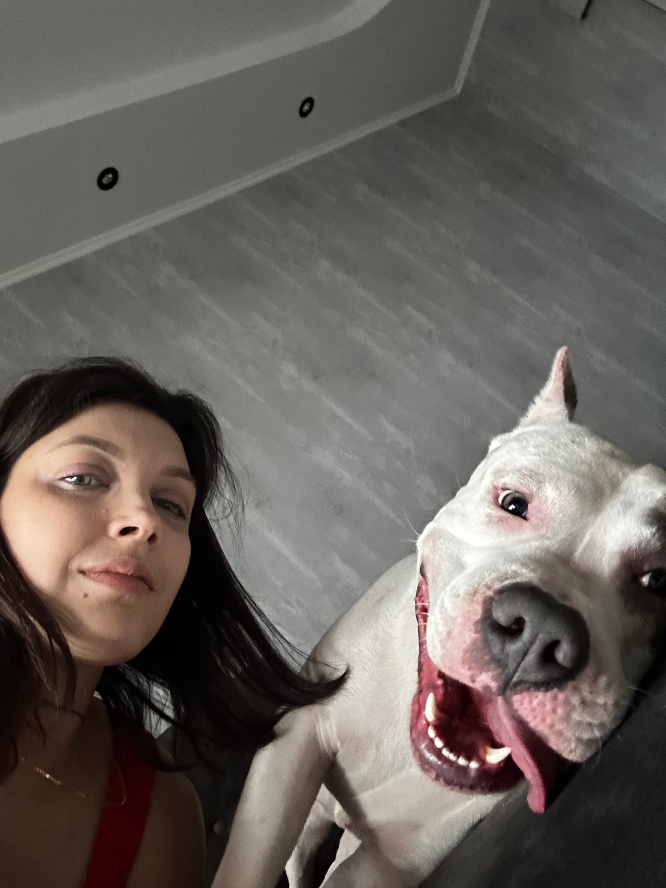 Знакомьтесь, Аксель. Активный, требует много внимания, работает с командами.