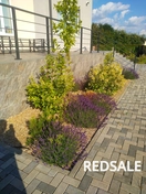 прополка клумб цветников огородов парников читска плитки от мха и травы