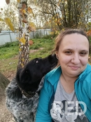 Выгул собаки в приюте с элементами базовой дрессировки.