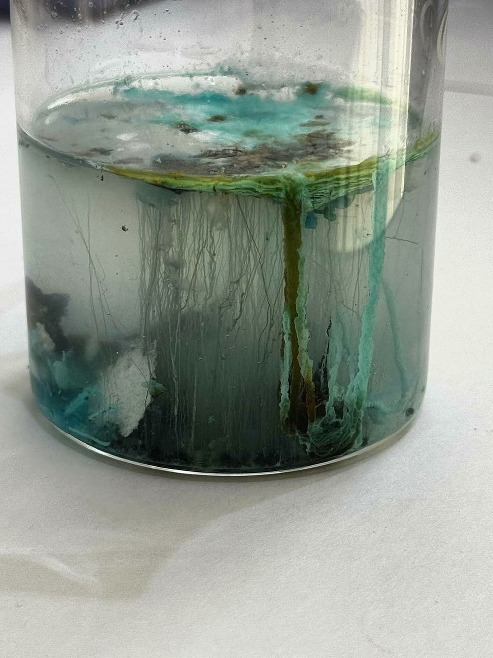 Опыт "Силикатный сад", проводили с ученицей 8 класса🧪👩‍🔬.