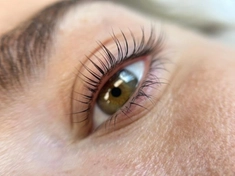 Velvet ресниц + concentrate Amica Lashes