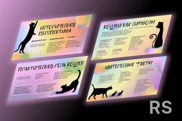 Презентации с чёткой структурой, грамотно расставленными акцентами, качественным дизайном.