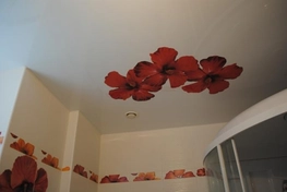 Натяжной потолок с фотопечатью в ванной комнате. По периметру декоративная вставка-заглушка